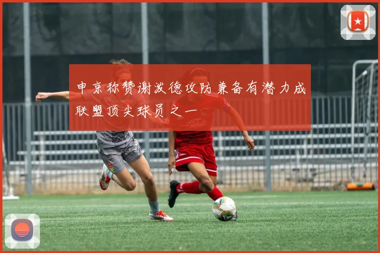 申京称赞谢泼德攻防兼备有潜力成联盟顶尖球员之一