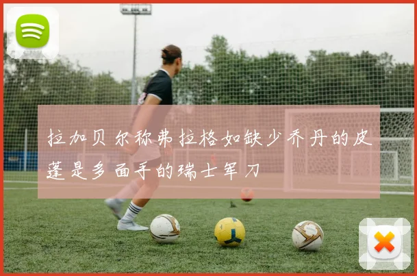 拉加贝尔称弗拉格如缺少乔丹的皮蓬是多面手的瑞士军刀