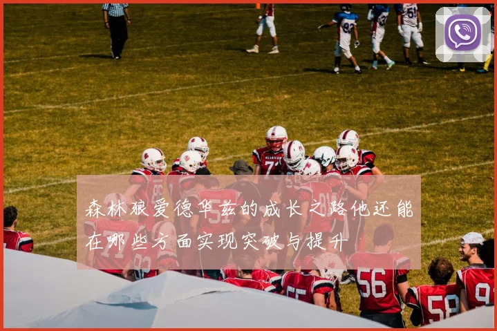 森林狼爱德华兹的成长之路他还能在哪些方面实现突破与提升