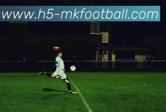 App Interface Preview