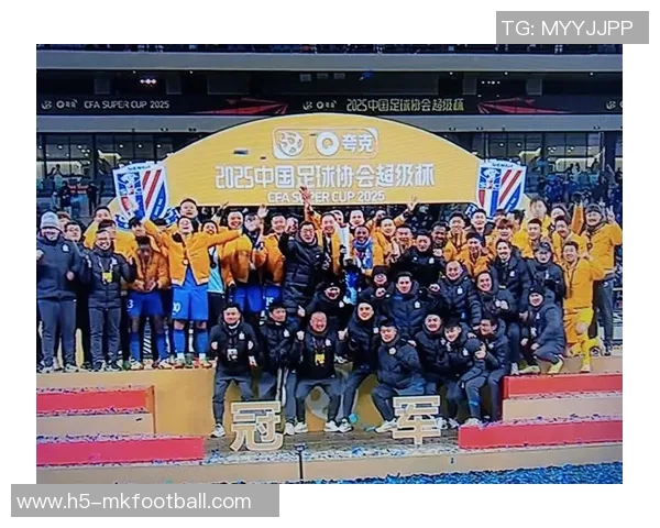 2025赛季中超主场成绩分析申花领跑海港紧随其后